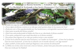 mobil_03_buena_semilla