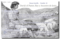 mobil_10_buena_semilla