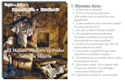 mobil_19_buena_semilla