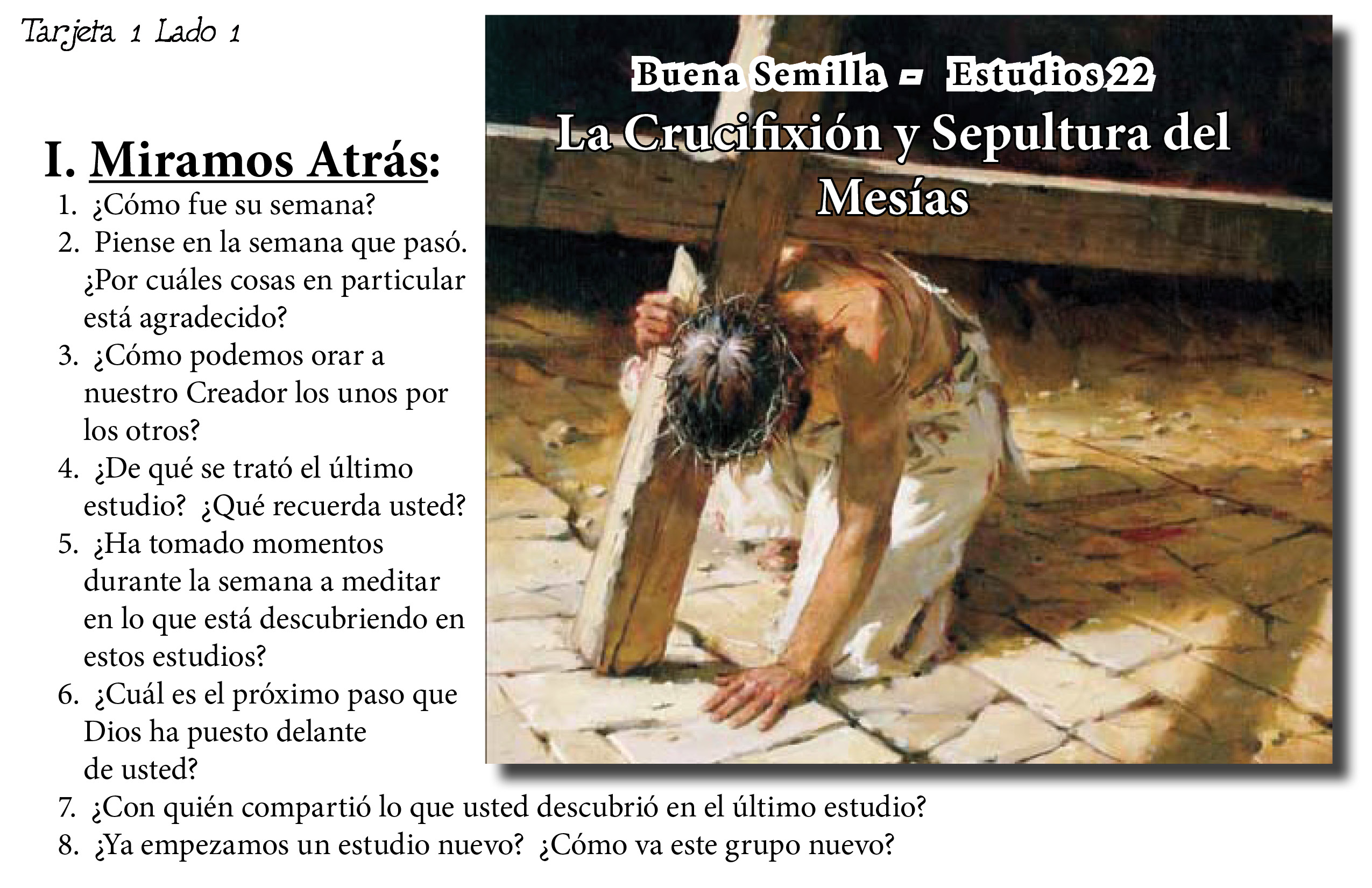 mobil_22_buena_semilla