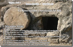 mobil_23_buena_semilla